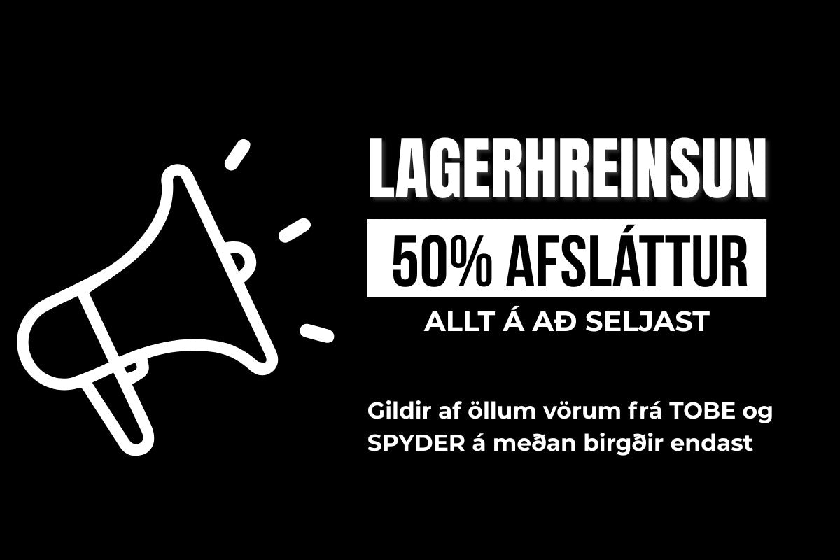Lagerhreinsun Spyder
