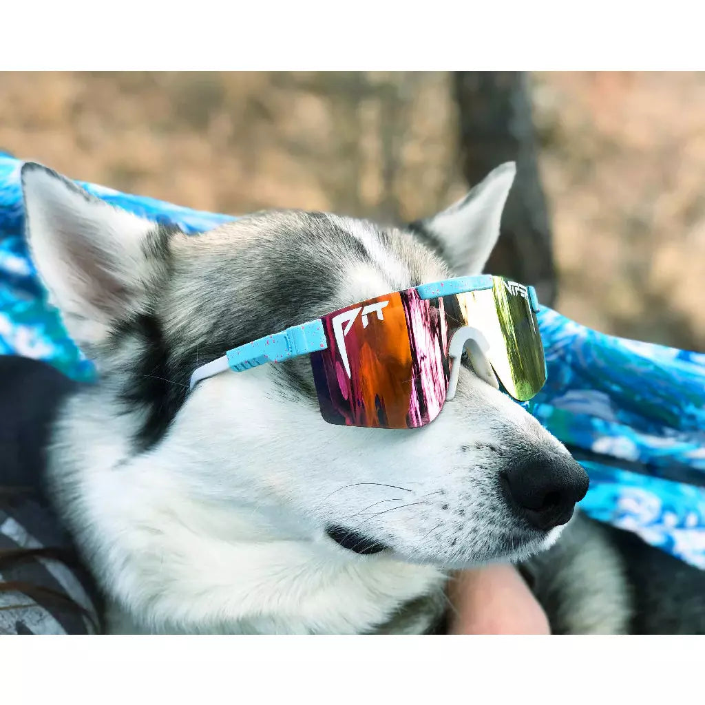 Pit Viper The Gobby Polarized Single Wide
