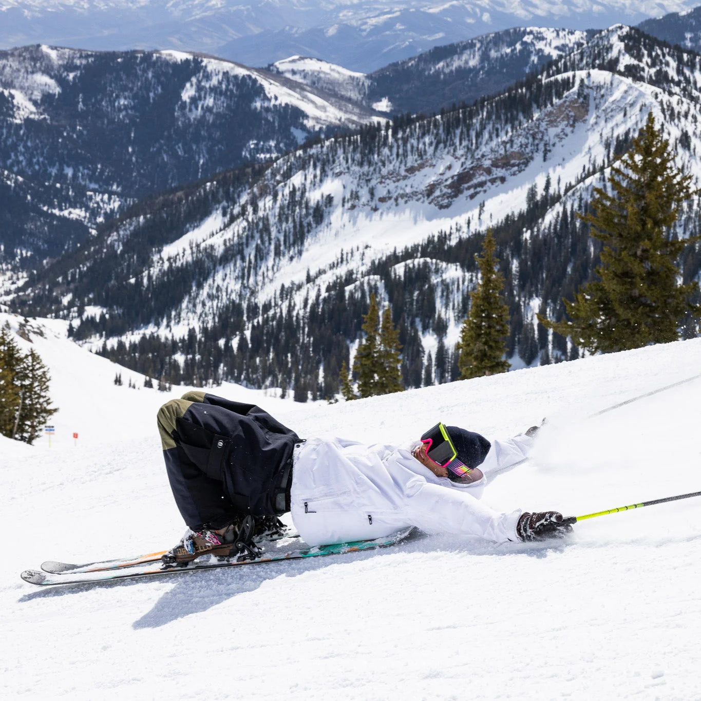 Pit Viper Backslap - The Formula