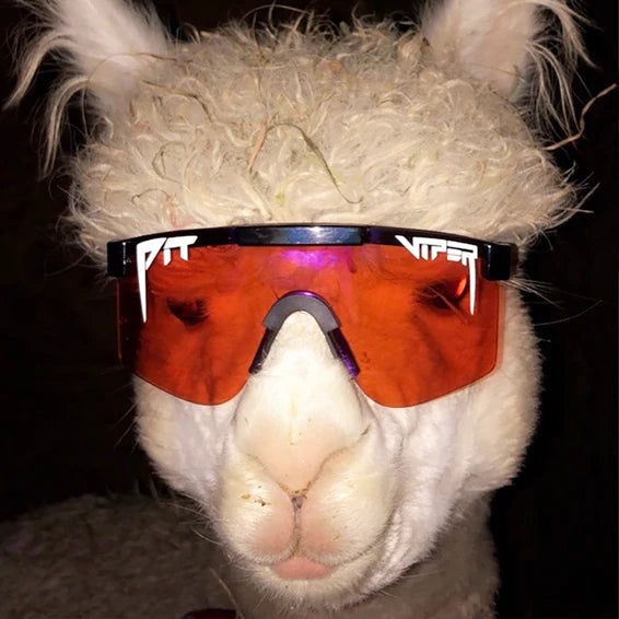 The mud 2024 slinger pit vipers